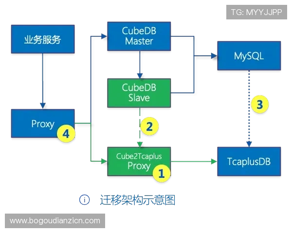 全面解析DB电子游戏的规则机制与实用攻略助你轻松获胜